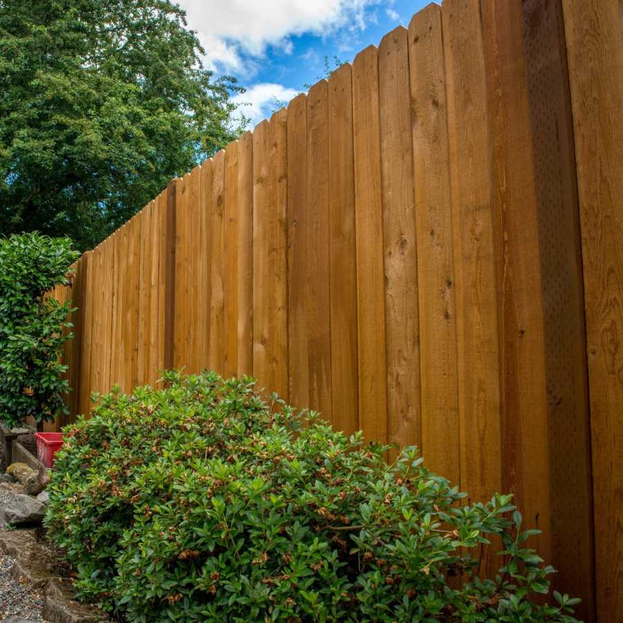 Fence Staining Secrets That Will Keep Your Wood Looking Fresh for Years